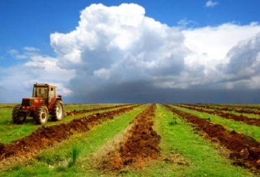 В Хакасии земель сельхозназначения стало меньше еще на 2,2 тысячи гектар 